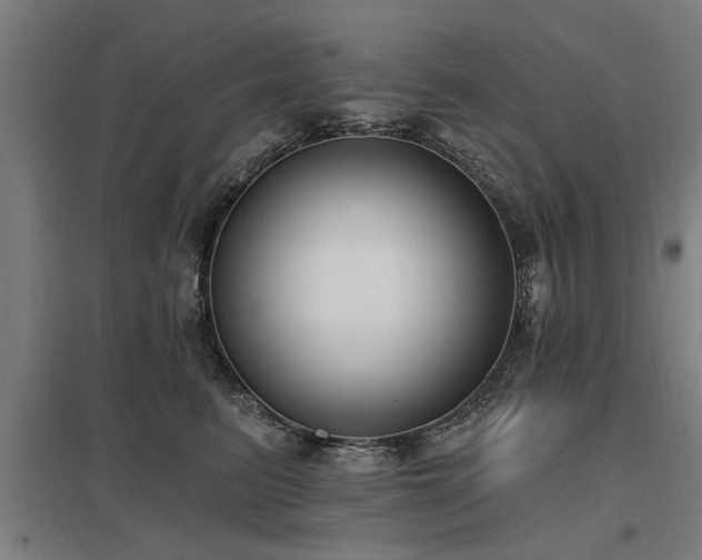 X0000098050615200803281456