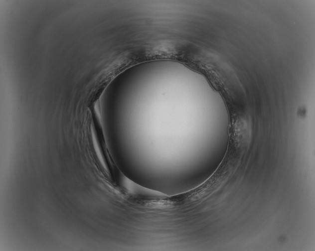 X0000098050617200803281456