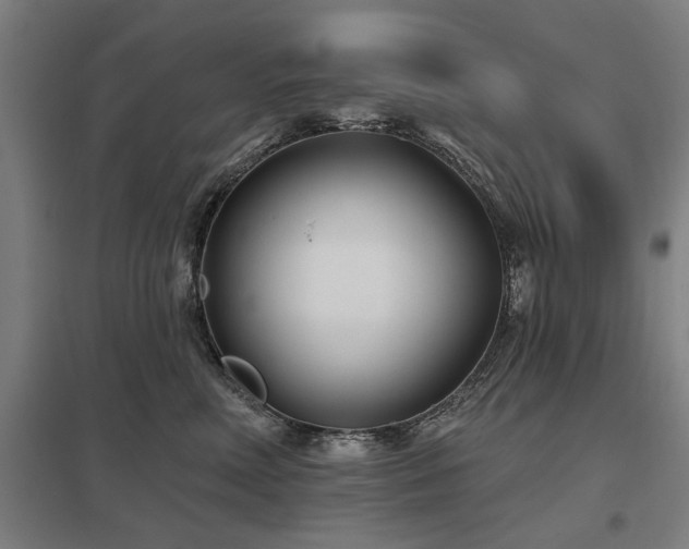 X0000098050618200803281456