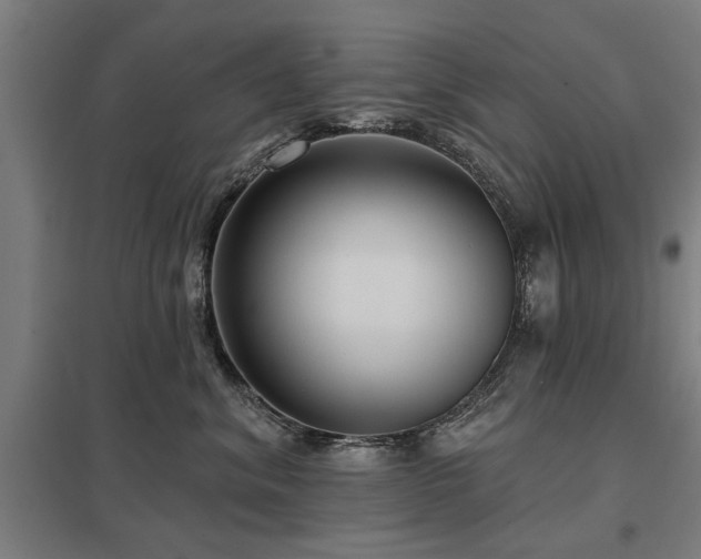X0000098050620200803281456
