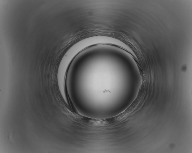 X0000098050621200803281456