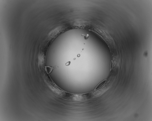 X0000098050623200803281456