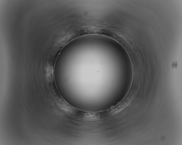 X0000098050624200803281456