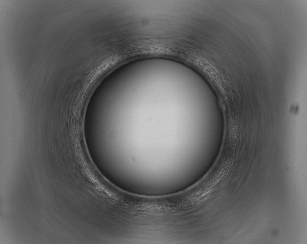 X0000098050625200803281455