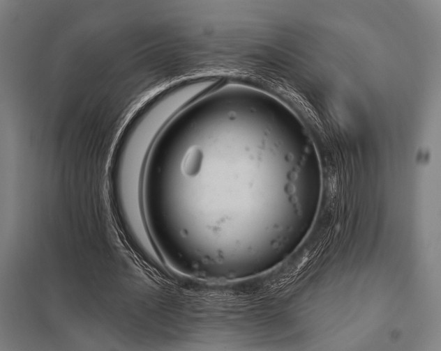 X0000098050628200803281455