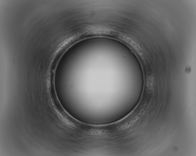 X0000098050629200803281455