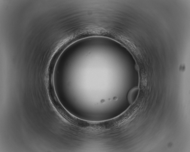 X0000098050630200803281455