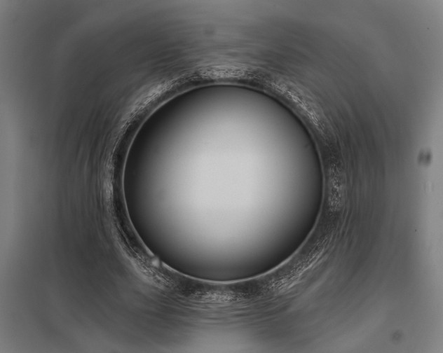 X0000098050631200803281456