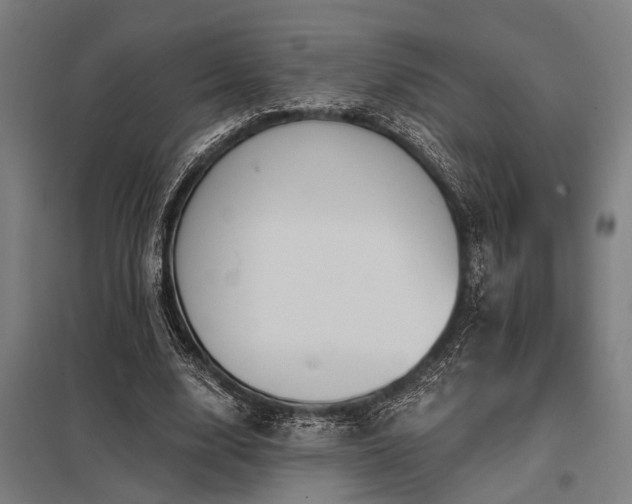 X0000098050632200803281456