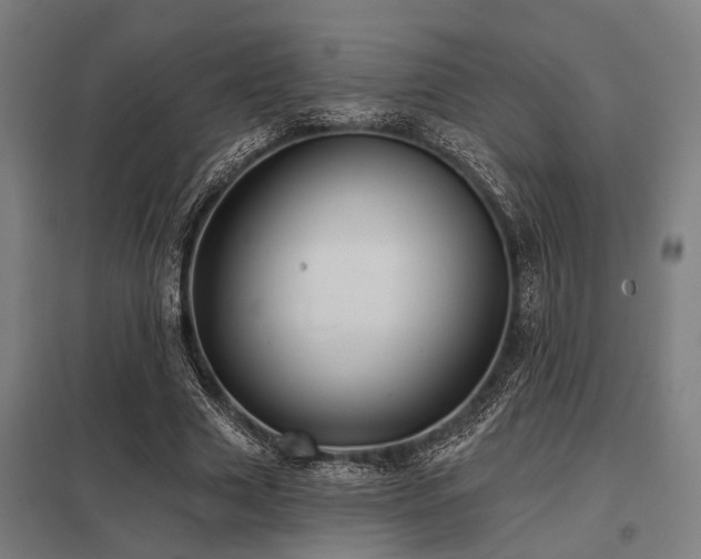 X0000098050633200803281456