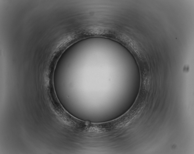 X0000098050635200803281456