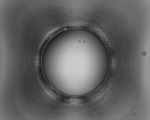 X0000098050636200803281456