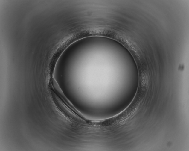 X0000098050637200803281456