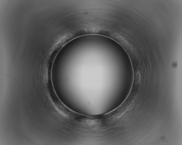 X0000098050638200803281456