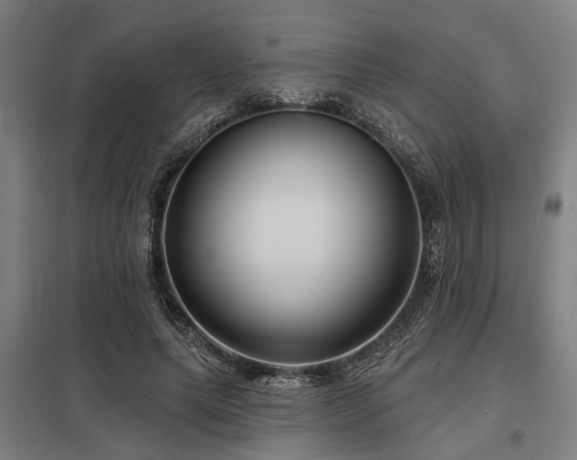 X0000098050639200803281456