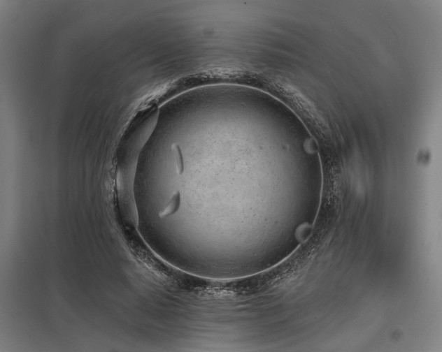 X0000098050640200803281456