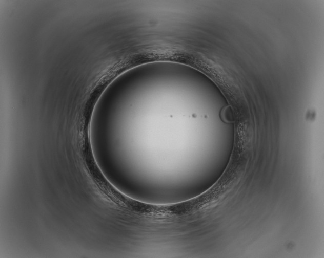 X0000098050642200803281456