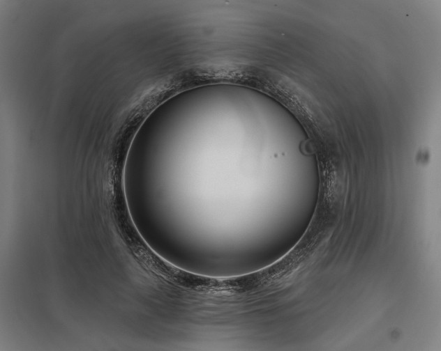 X0000098050643200803281456