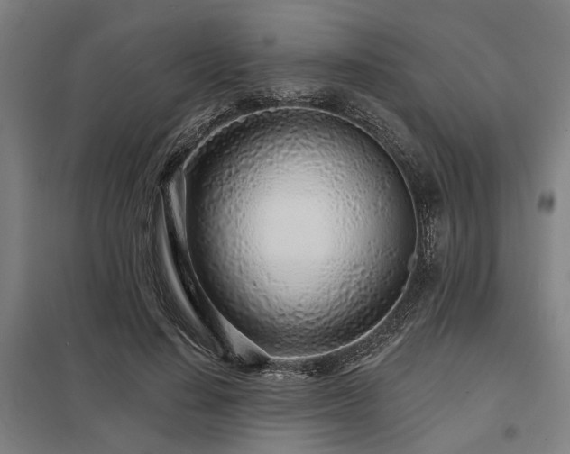 X0000098050644200803281456