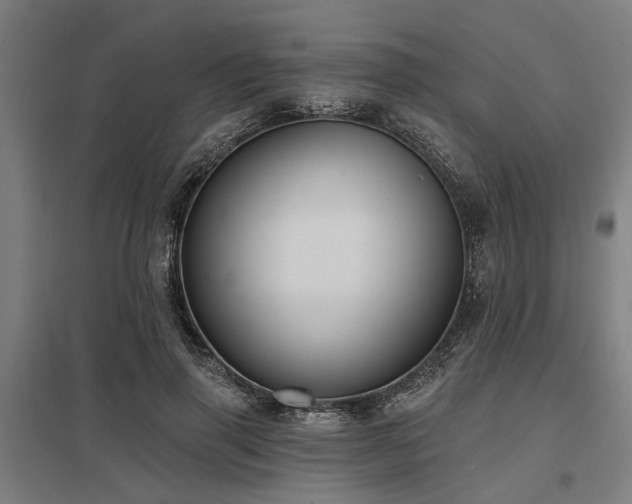 X0000098050645200803281456