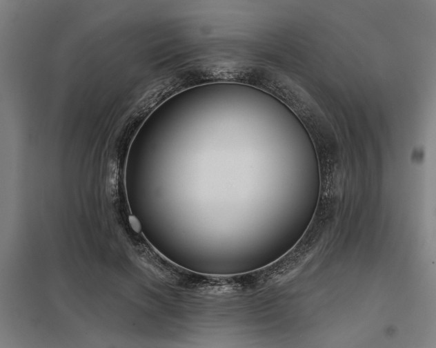 X0000098050646200803281456