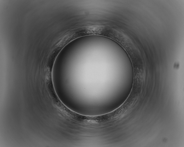X0000098050649200803281456