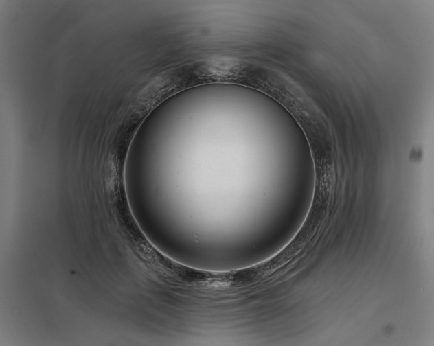 X0000098050651200803281456