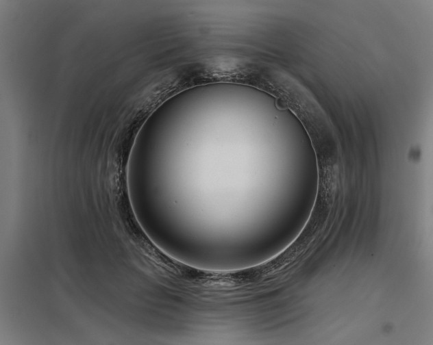 X0000098050653200803281456