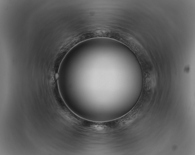 X0000098050654200803281456