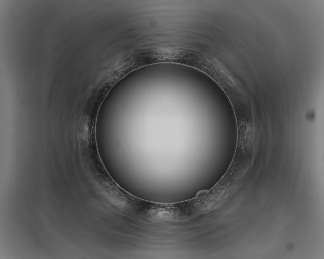 X0000098050655200803281456
