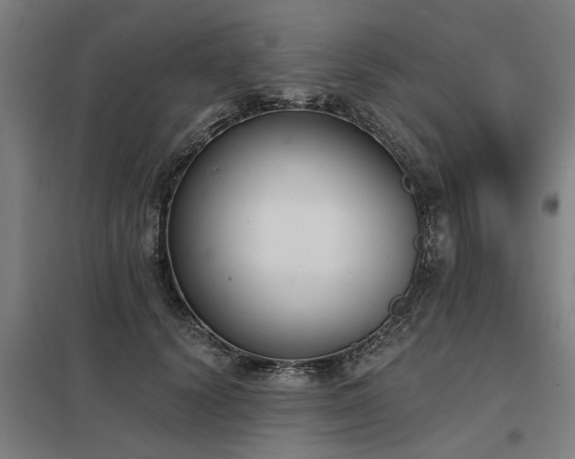 X0000098050656200803281456