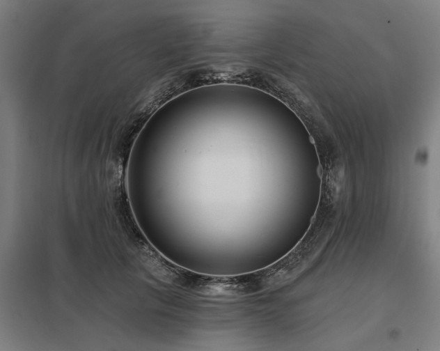X0000098050657200803281456
