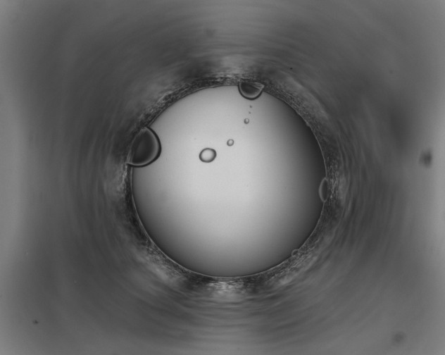 X0000098050660200803281456