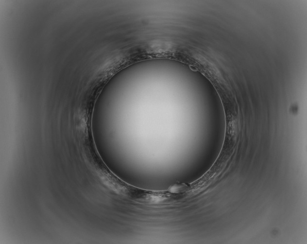 X0000098050662200803281456