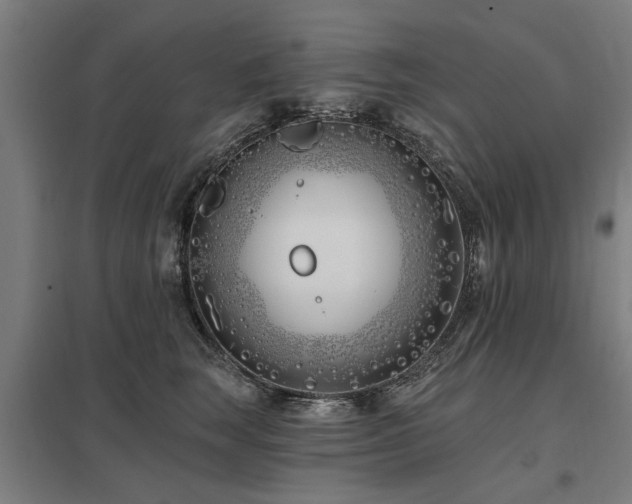 X0000098050663200803281456