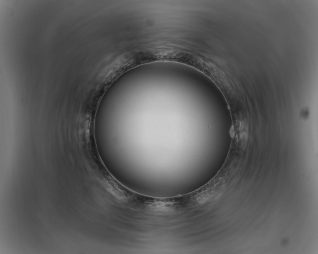 X0000098050664200803281456