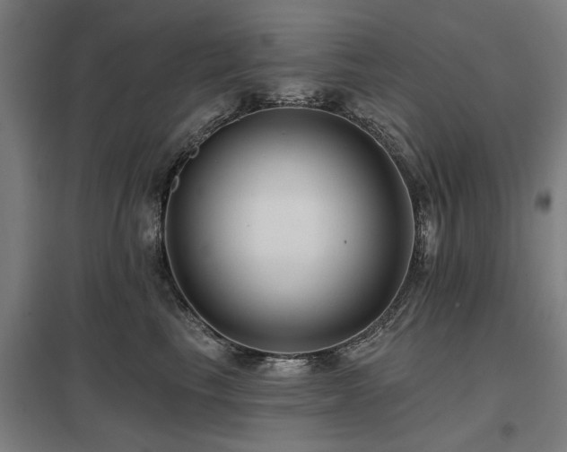 X0000098050665200803281456