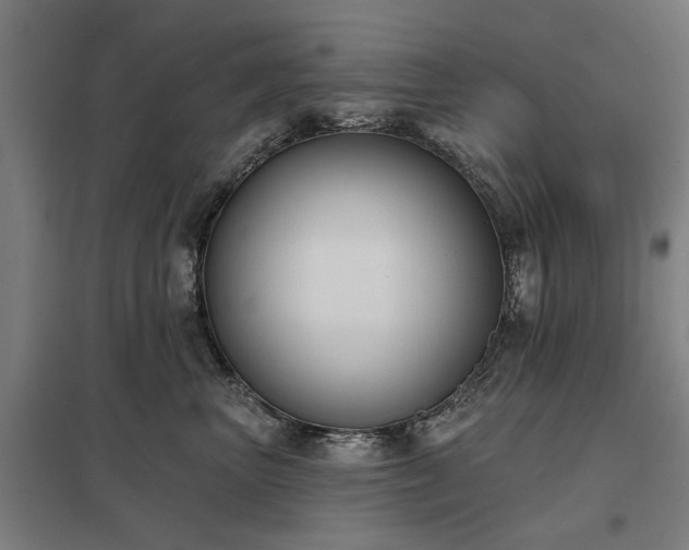 X0000098050667200803281456