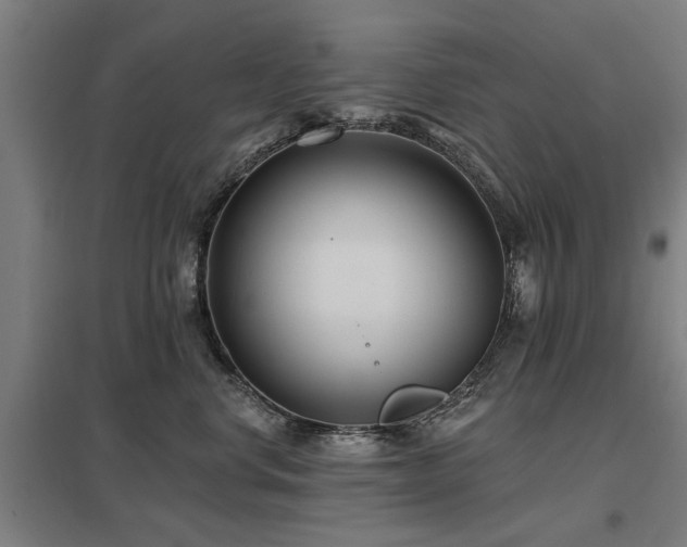 X0000098050668200803281456