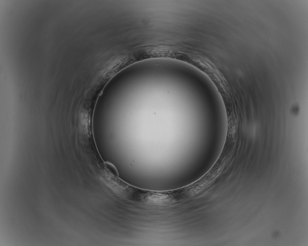 X0000098050669200803281456