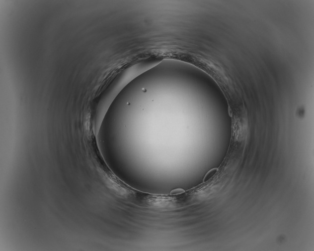 X0000098050670200803281456