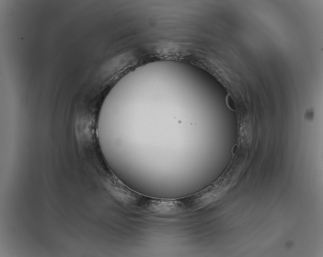 X0000098050671200803281456