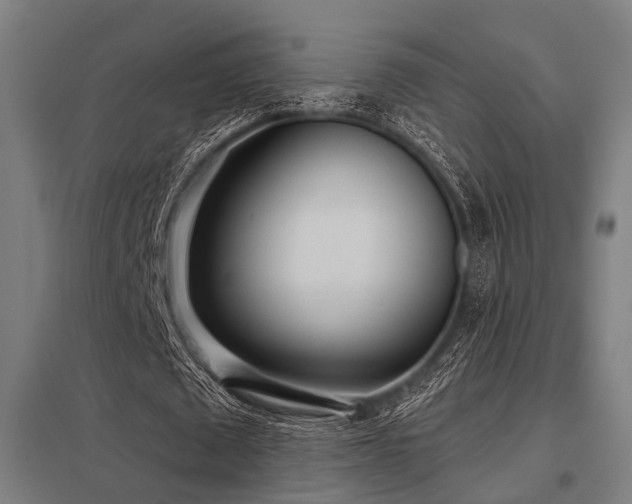 X0000098050673200803281455