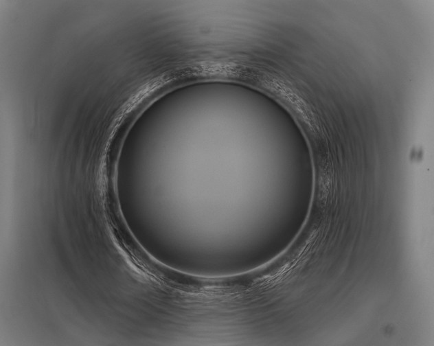 X0000098050674200803281455