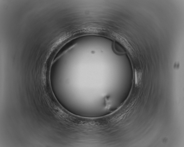 X0000098050675200803281455