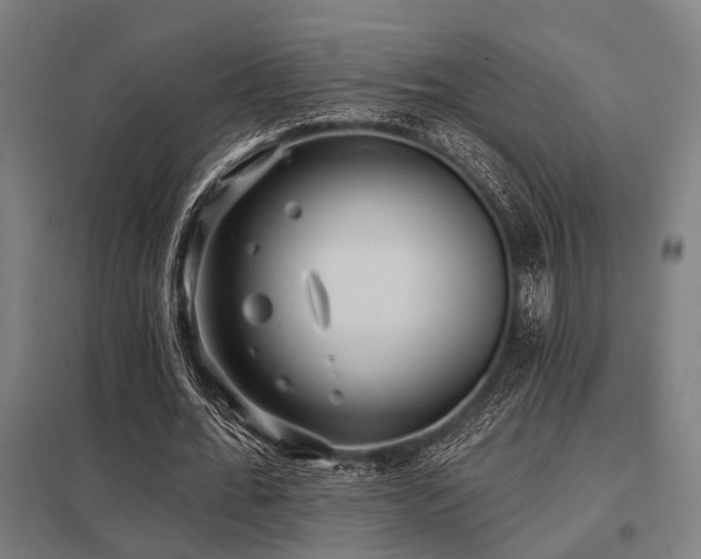 X0000098050676200803281455