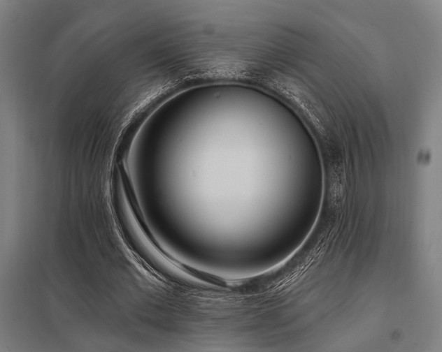 X0000098050677200803281455