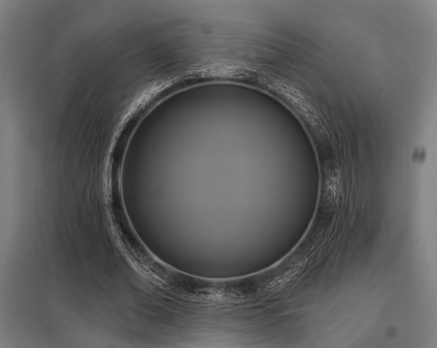 X0000098050678200803281455