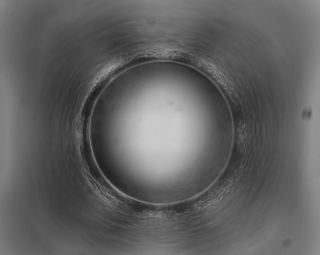 X0000098050679200803281455