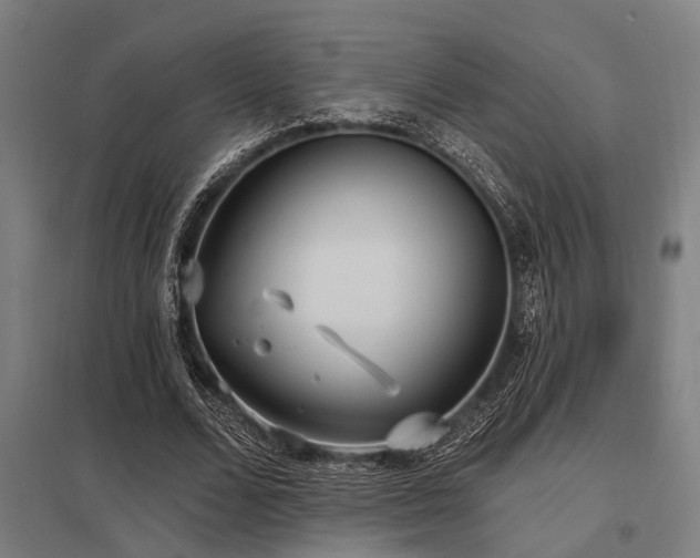 X0000098050680200803281455